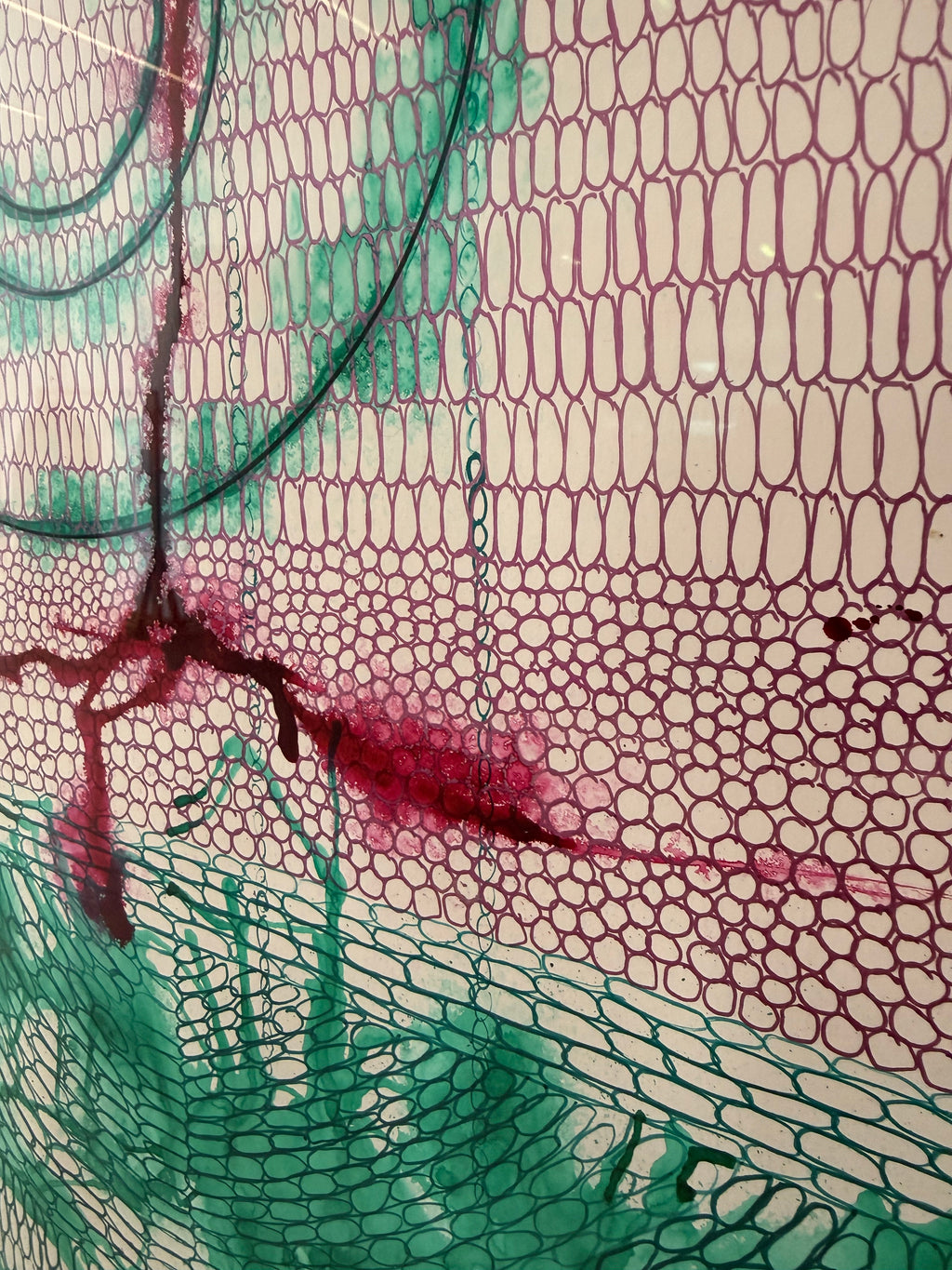 Cellular Level, 2025, inks. Framed