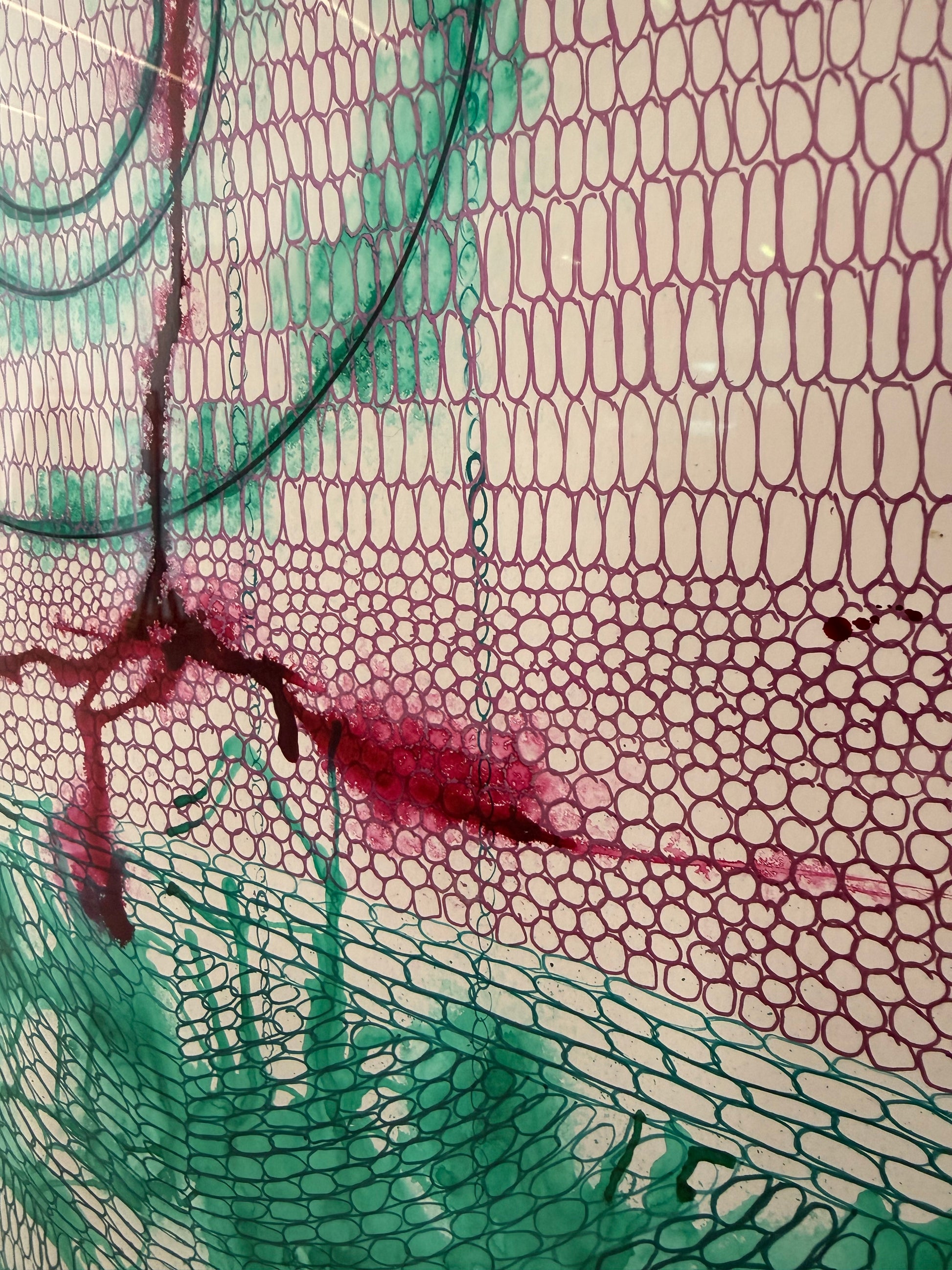 Cellular Level, 2025, inks. Framed