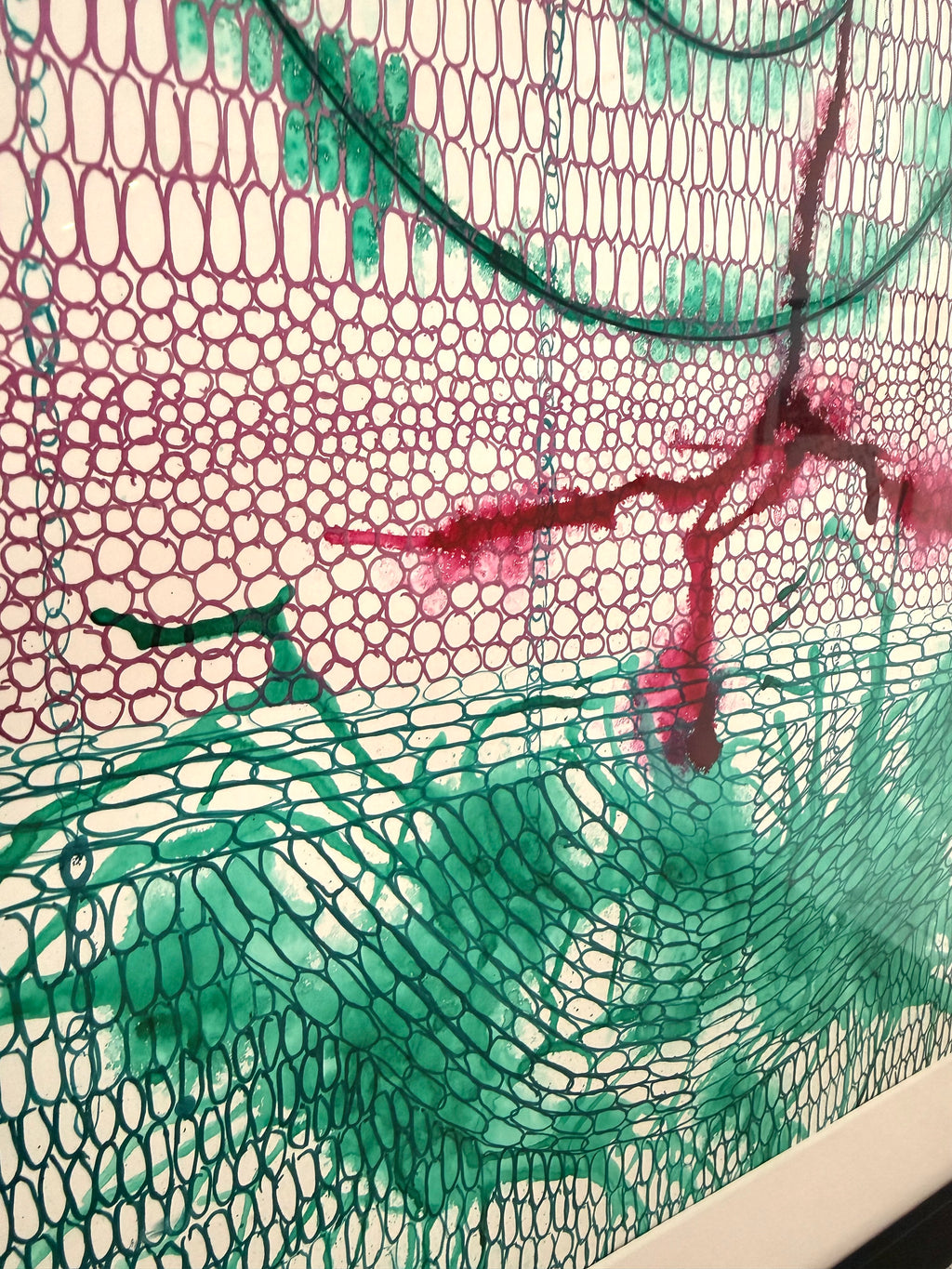 Cellular Level, 2025, inks. Framed