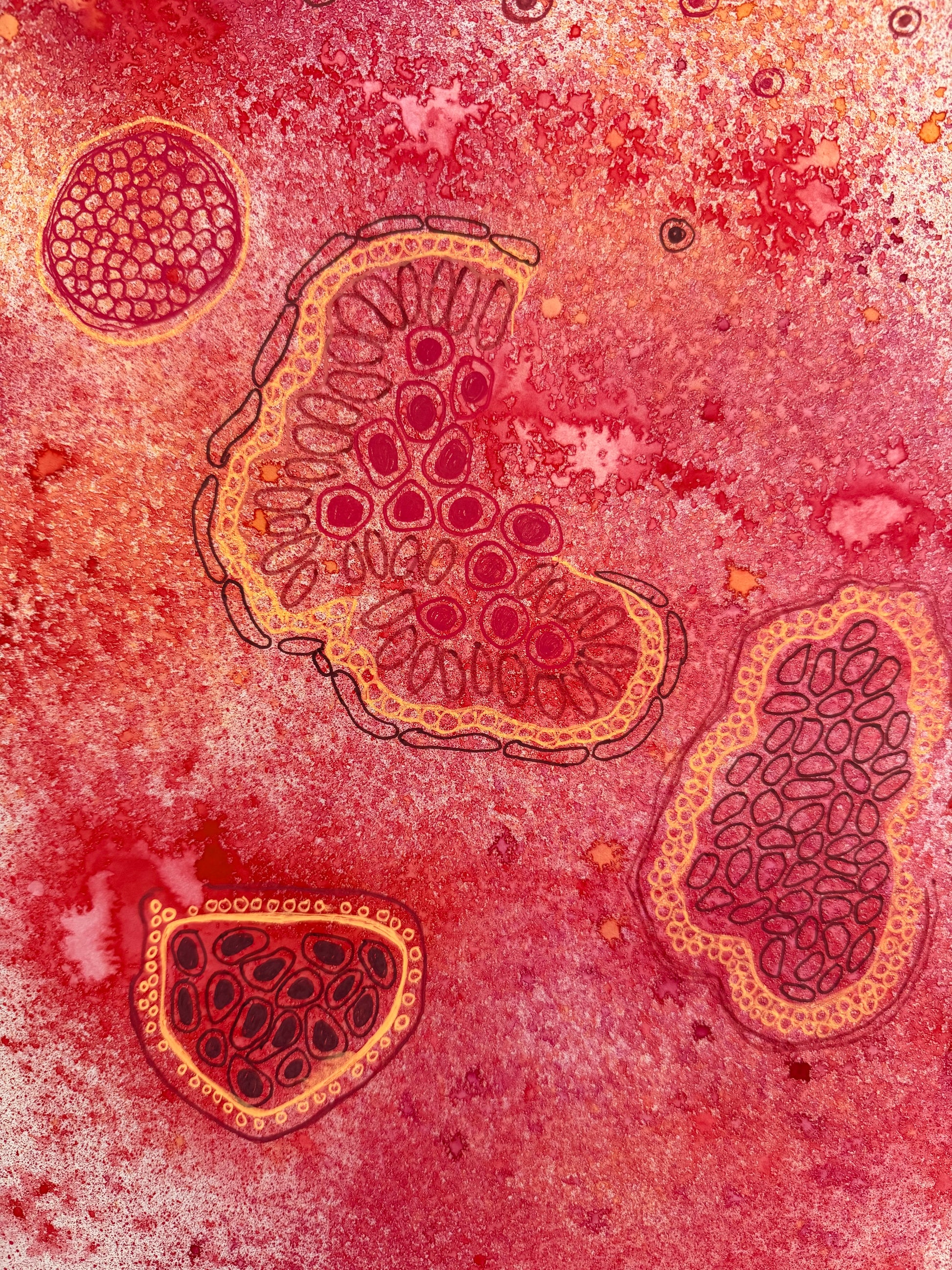 Cellular, 2025, inks. Framed