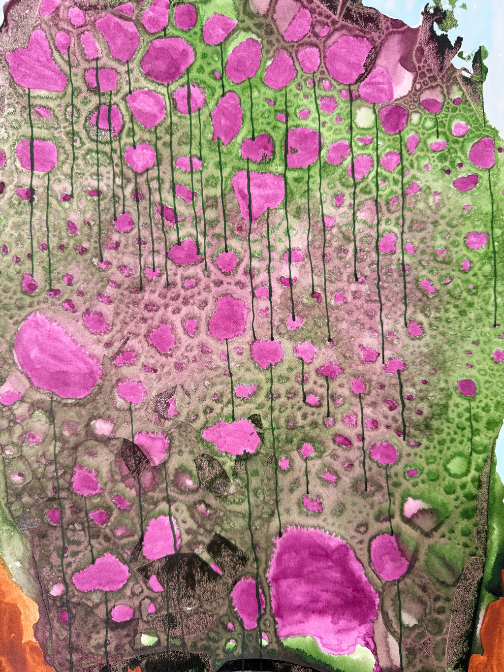 Clover, 2026. ink on paper