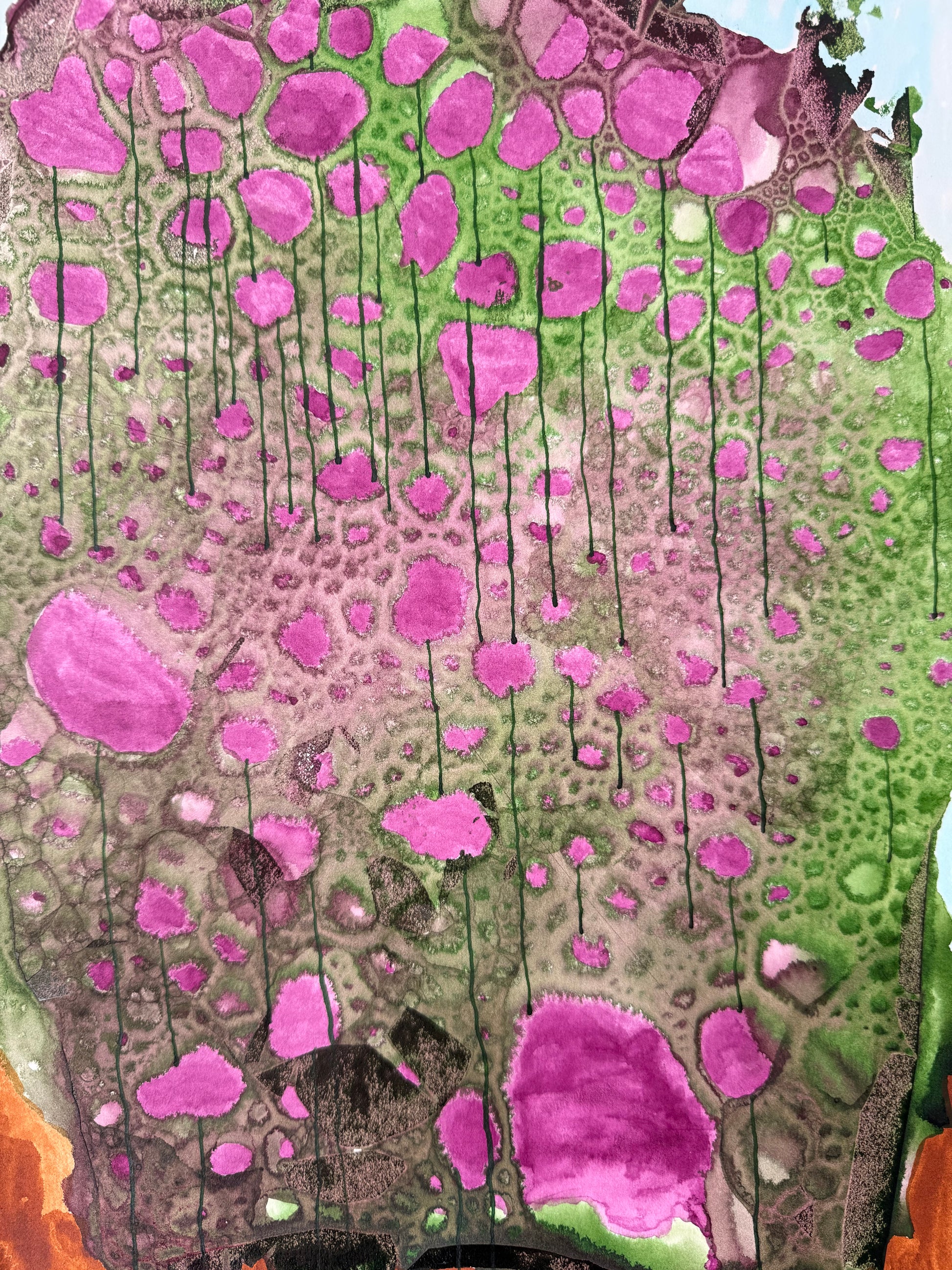 Clover, 2026. ink on paper