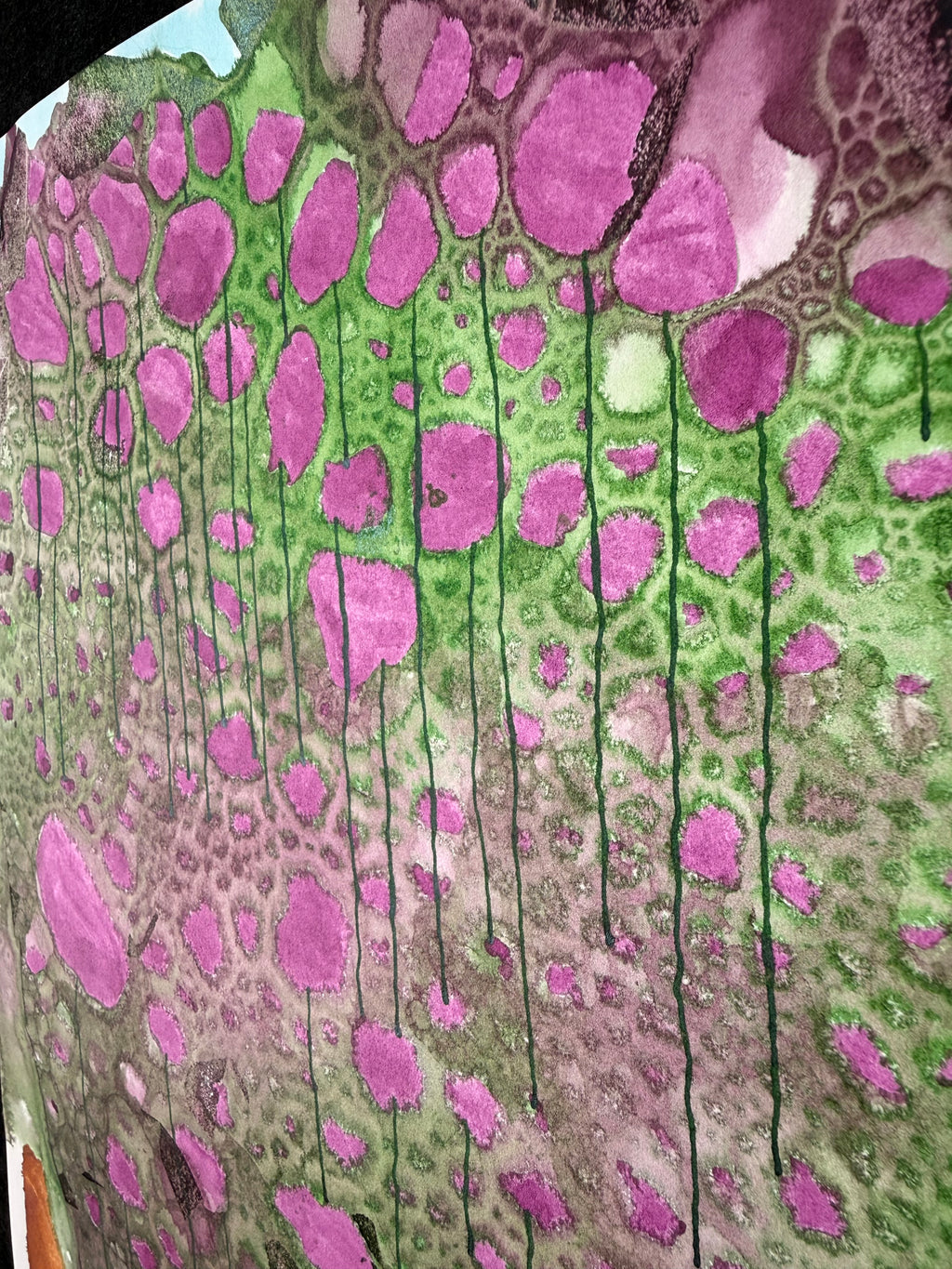 Clover, 2026. ink on paper