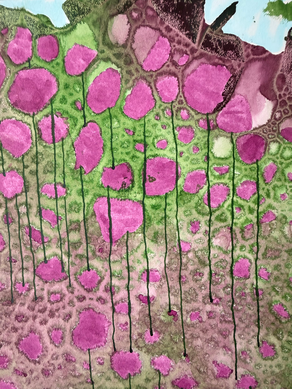 Clover, 2026. ink on paper