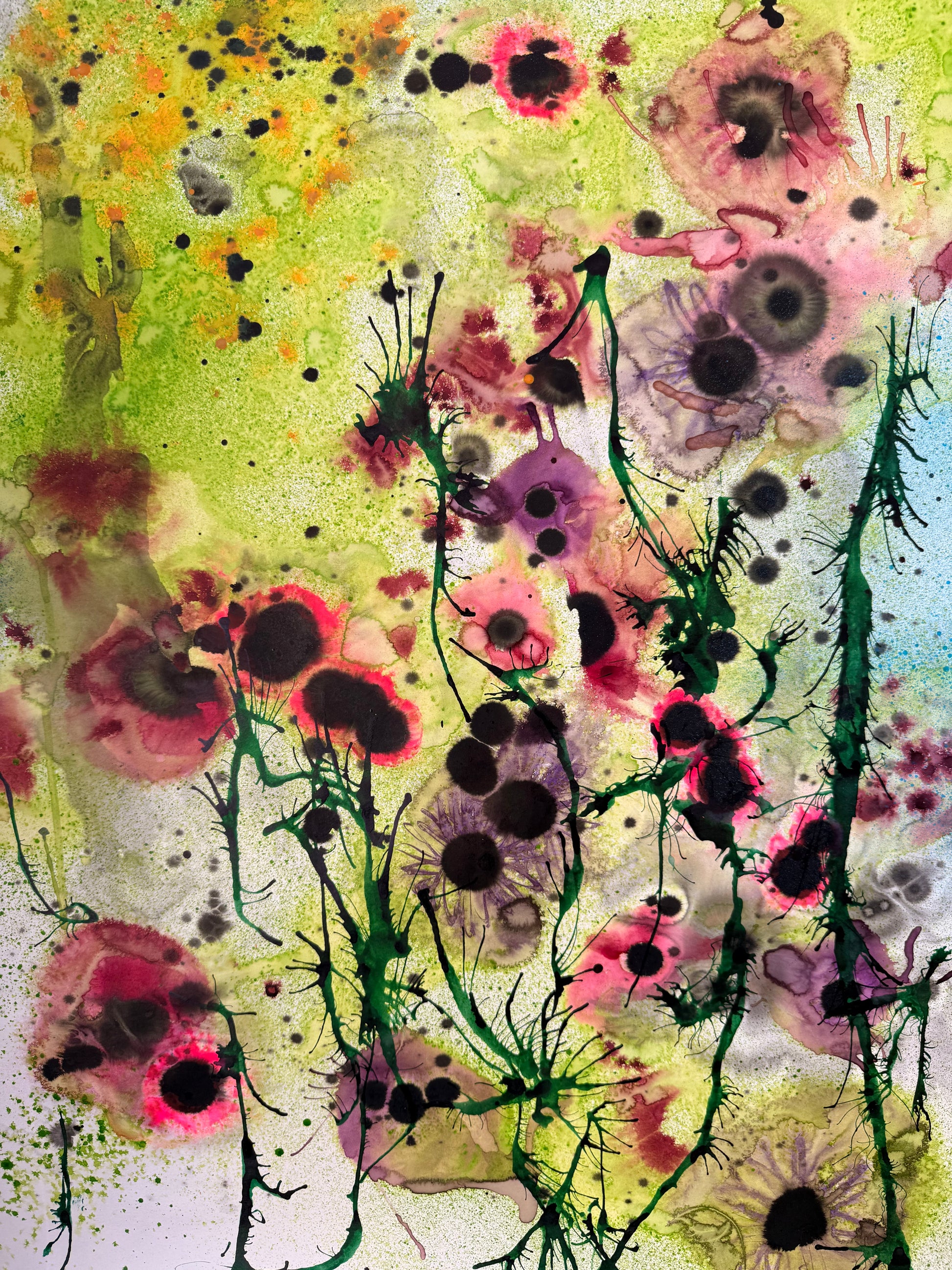 Poppies, 2026. ink on paper