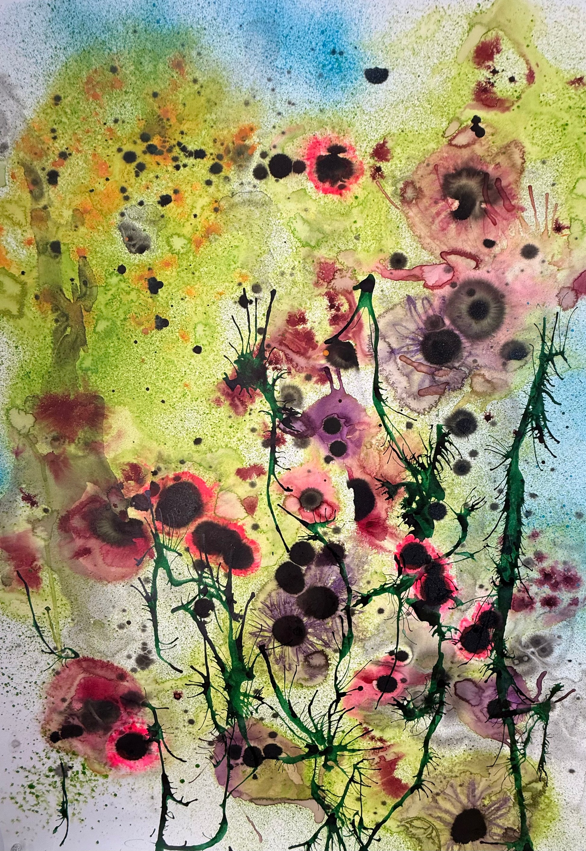 Poppies, 2026. ink on paper