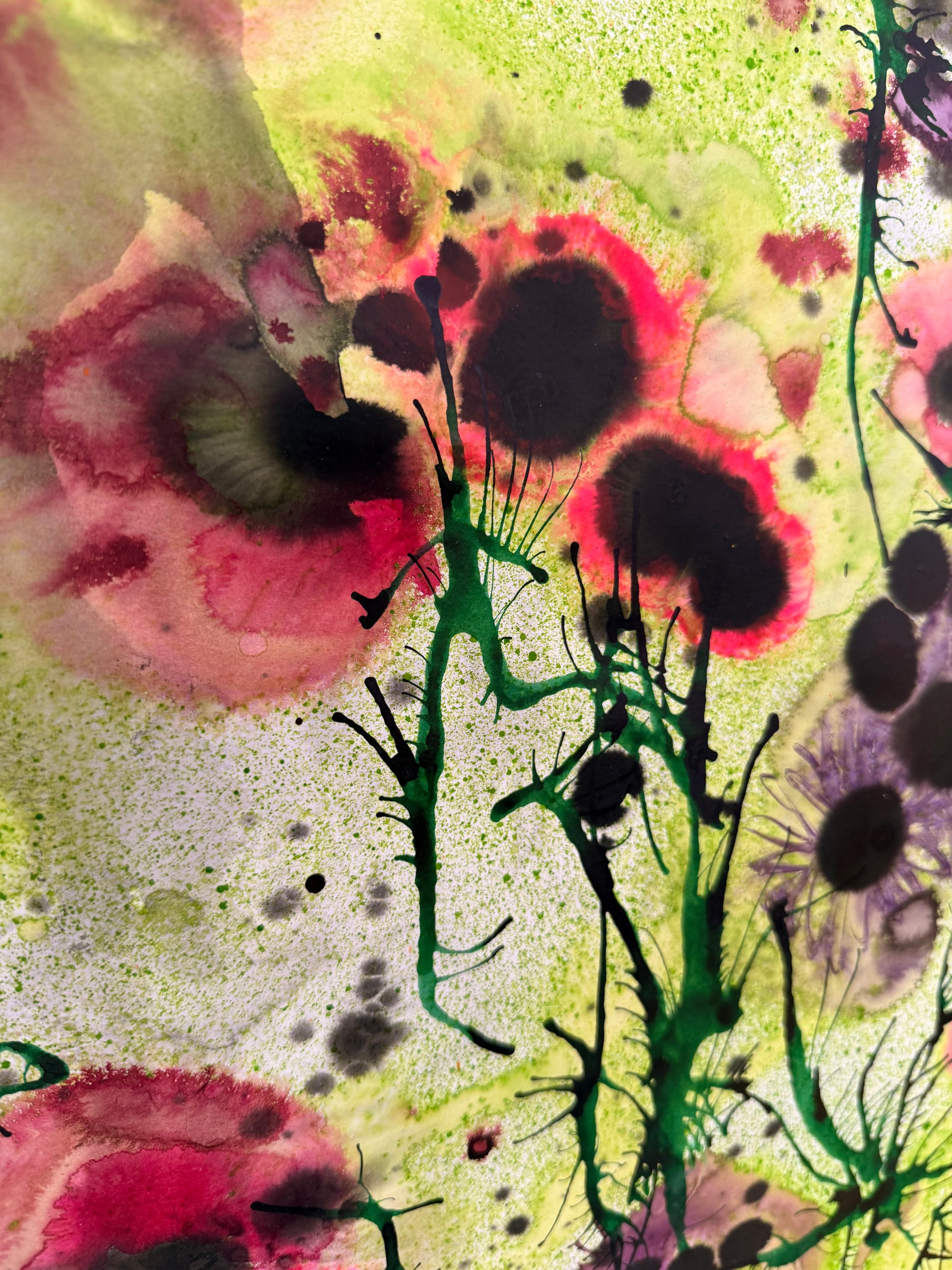 Poppies, 2026. ink on paper