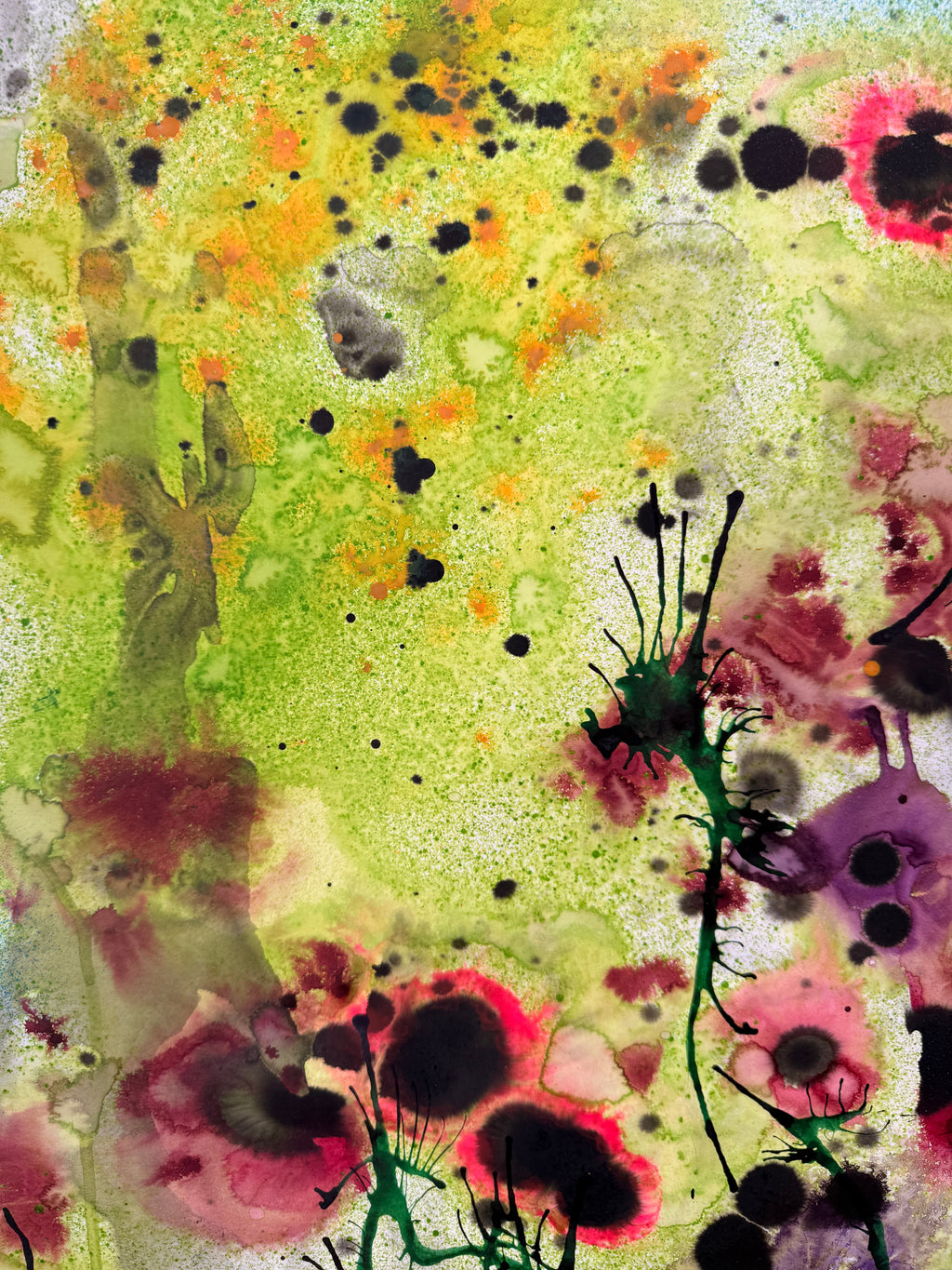 Poppies, 2026. ink on paper