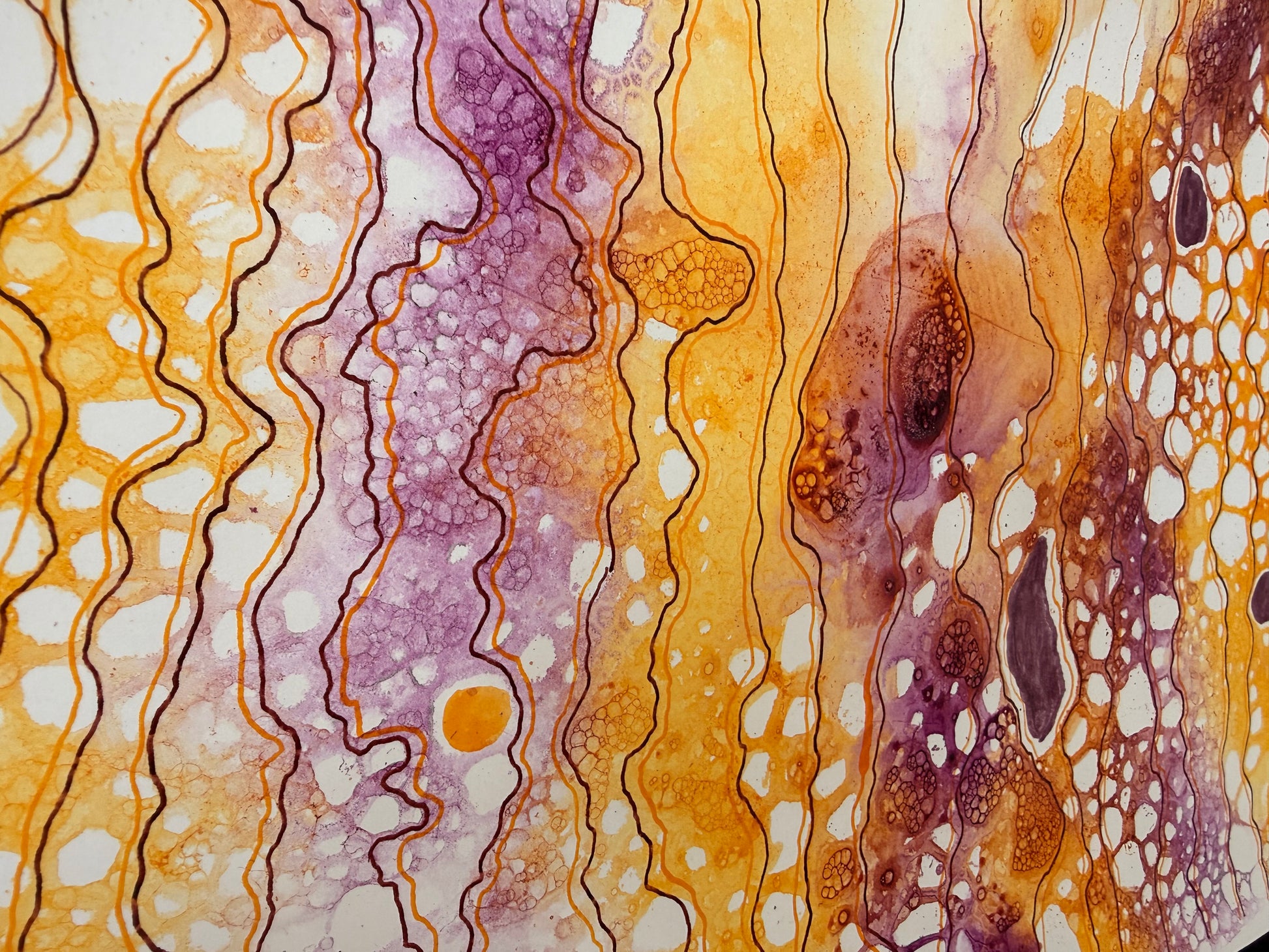Radiate Sun, 2026. ink on paper