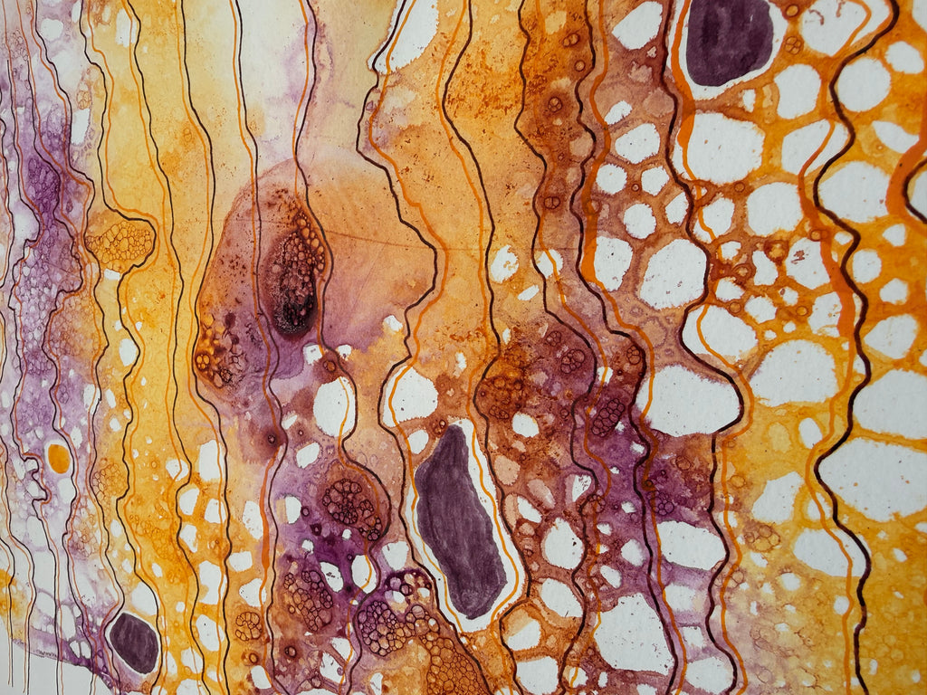 Radiate Sun, 2026. ink on paper