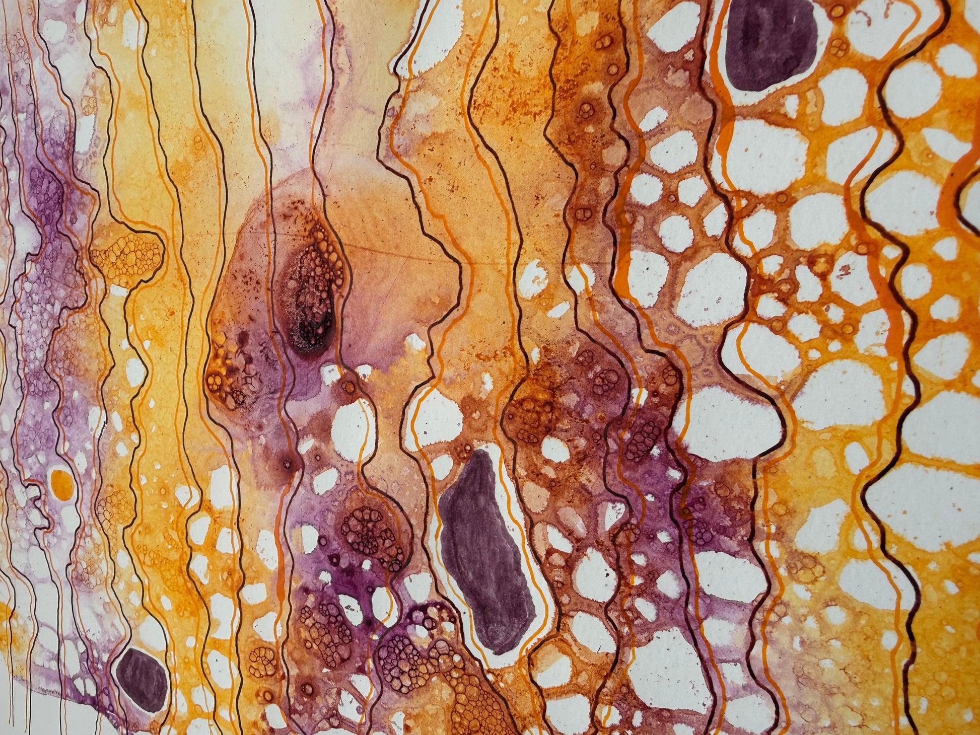 Radiate Sun, 2026. ink on paper
