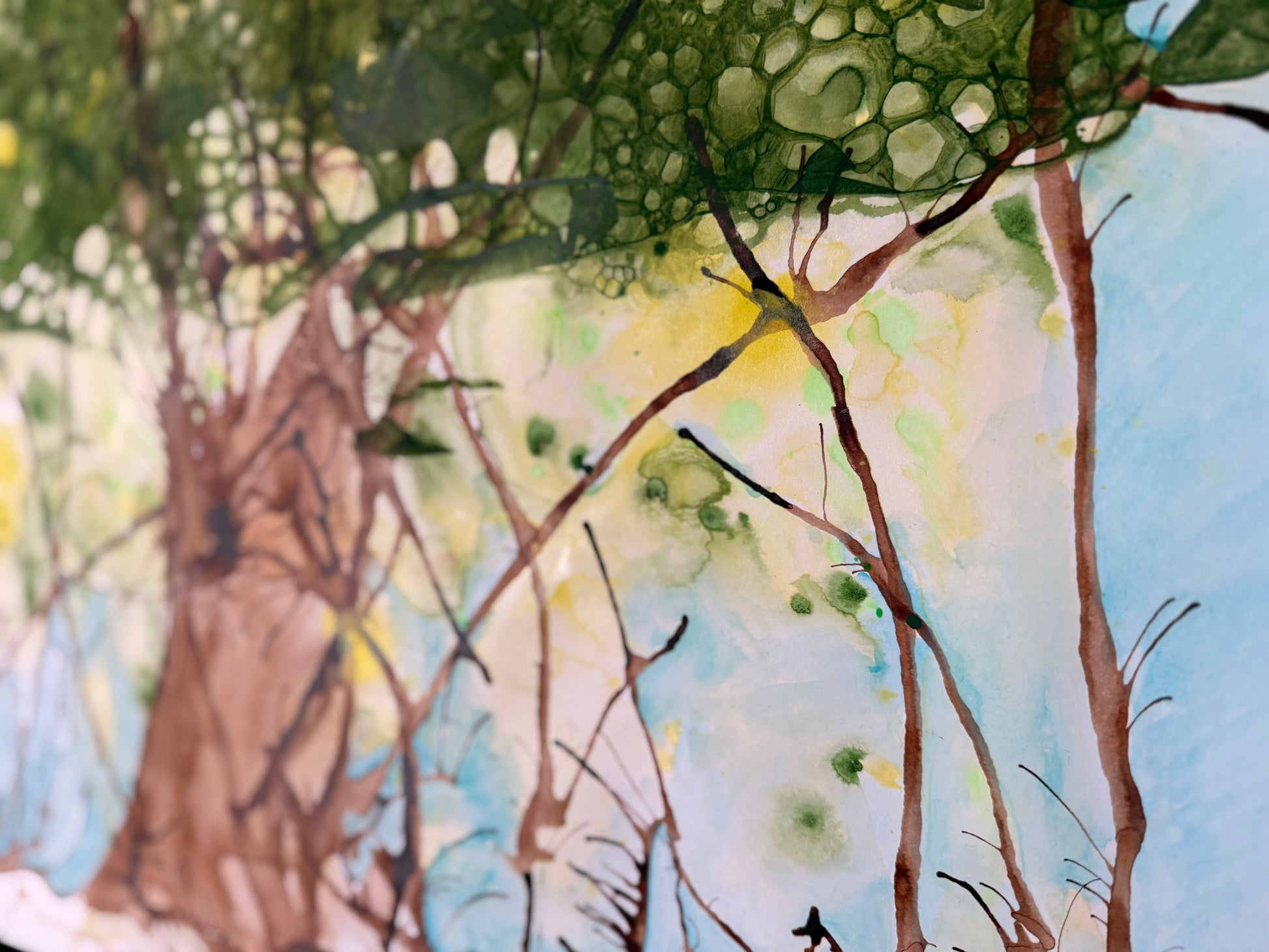 Spring Forest, 2026. ink & watercolour on paper