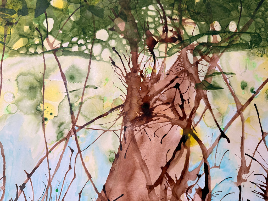 Spring Forest, 2026. ink & watercolour on paper