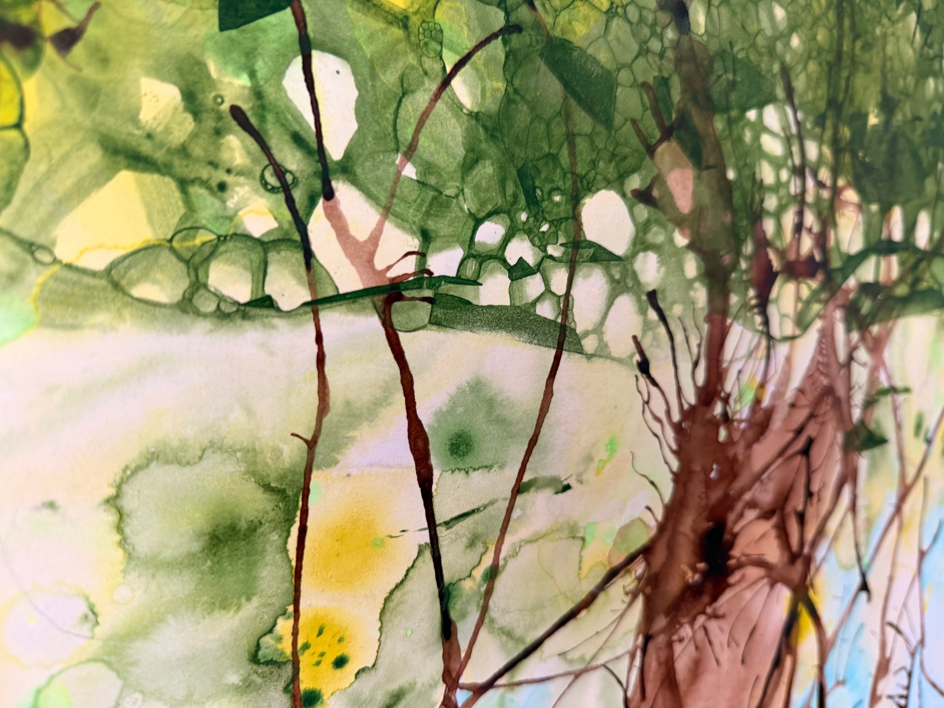 Spring Forest, 2026. ink & watercolour on paper